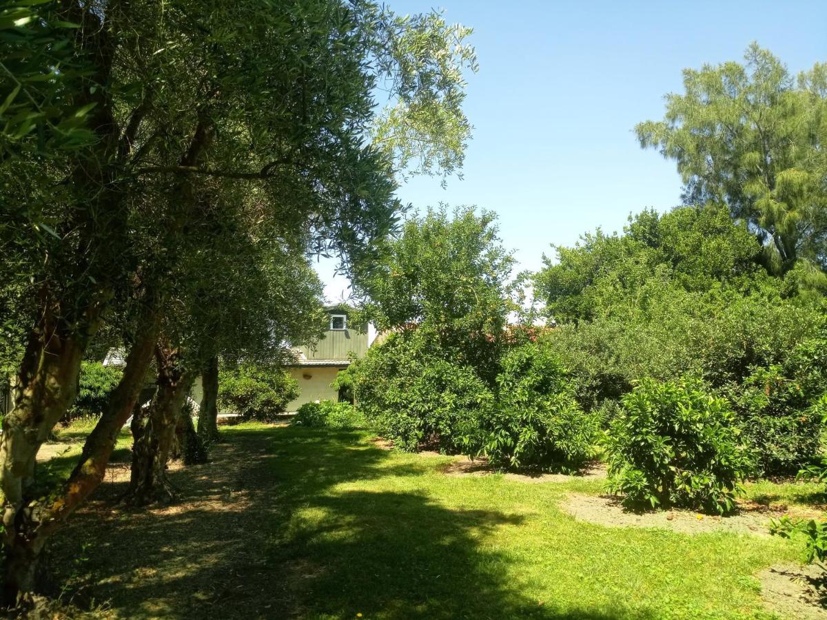 Irongate Retreat Bed & Breakfast Hastings Bagian luar foto